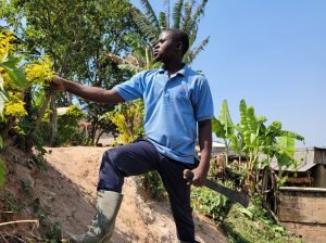 Read more about the article Xhuma_Africa_Annual_Report_2024